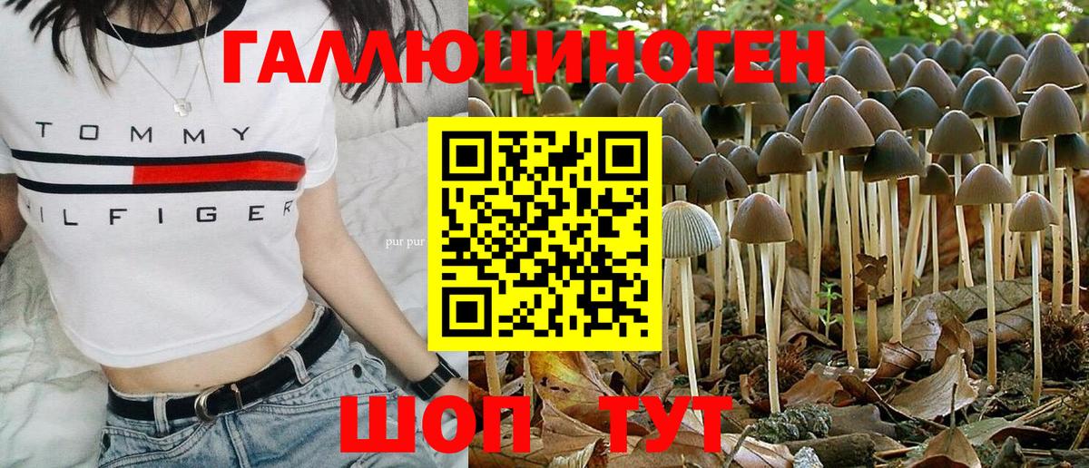 Шелехов  Псилоцибиновые грибы Psilocybine cubensis  Вход с VPN 